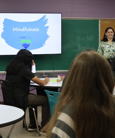 mindullness-presentation